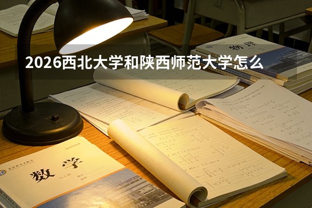彩神8官网