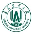 彩神8官网