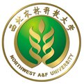 彩神8官网